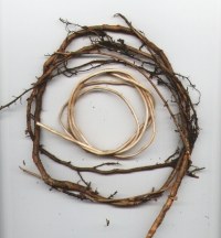 unpeeled and peeled spruce roots - click to see it bigger